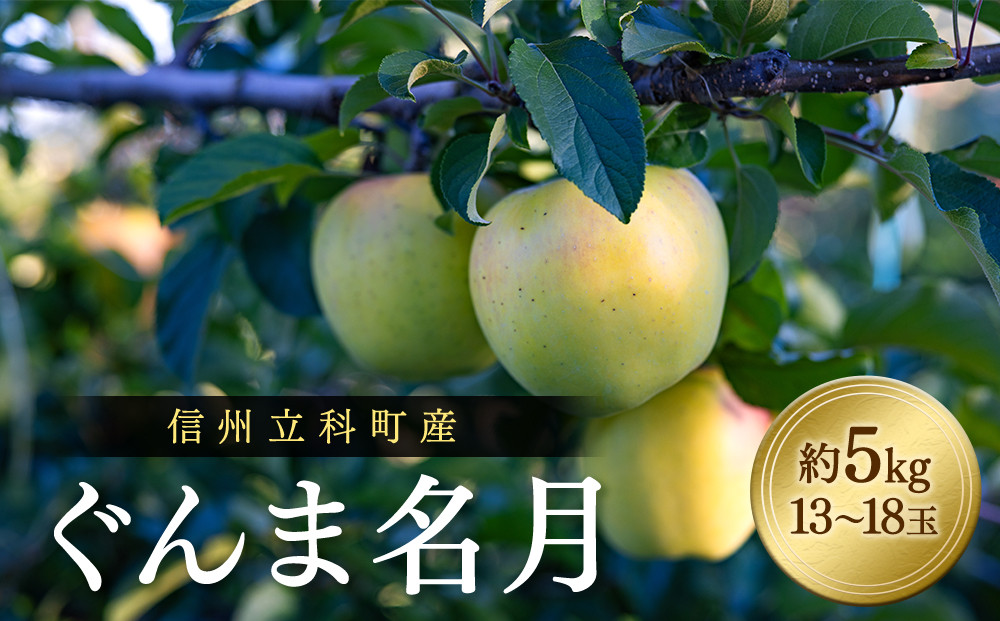 
            ぐんま名月（約5kg、優13～18玉）
          