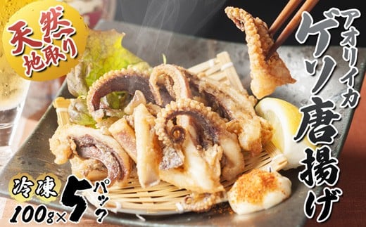 
            【10月以降発送】 天然地取りアオリイカ ゲソ唐揚げ 100g×5P ： イカ アオリイカ ゲソ いか 天然イカ 天然 海鮮 海産 魚介 シーフード 冷凍 簡単 グルメ お取り寄せ 京都 舞鶴 凡愚
          