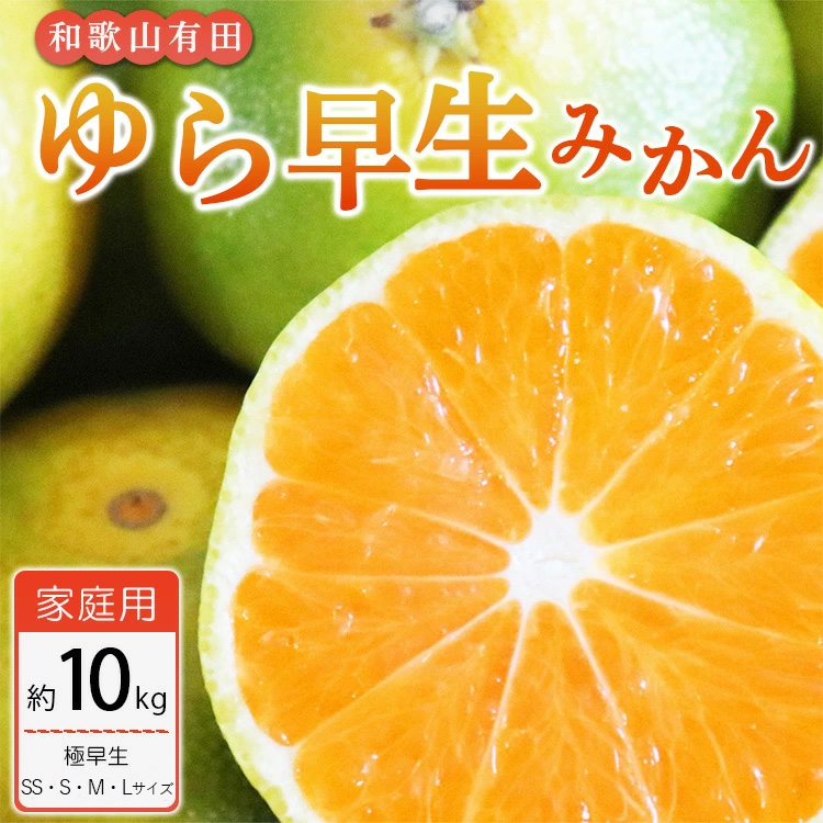 【ご家庭用 極早生】和歌山有田ゆら早生みかん約10kg(SS、S、M、Lサイズ)
※配送不可地域あり※2025年10月下旬～11月下旬頃に順次発送予定