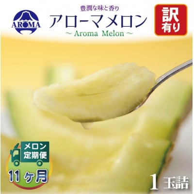 【毎月定期便】【訳あり】アローマメロン 1玉　全11回【配送不可地域：離島・北海道・沖縄県】