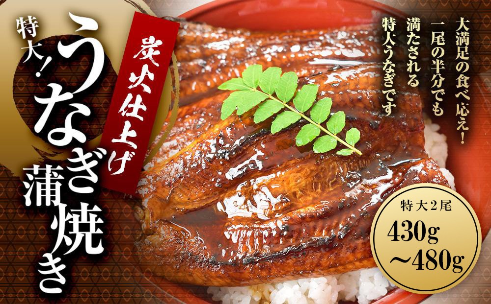 
            うなぎ蒲焼き2尾入り 430g～480g（蒲焼たれ4袋 山椒付き）［KS5］
          