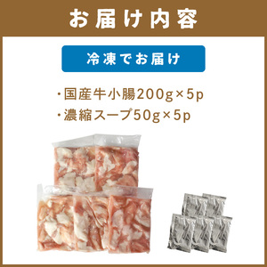 国産牛小腸もつ鍋セット（醤油）【082-0001】