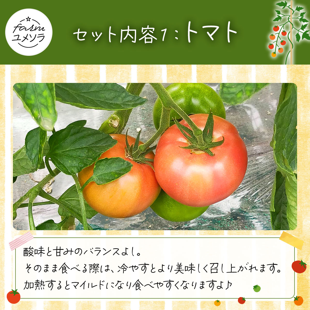 ◆2025年7月から順次出荷◆ farmユメソラ 大玉トマト＆玉ねぎセット 約5kg