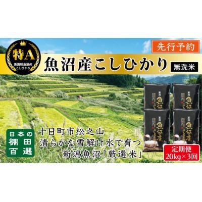 ふるさと納税 十日町市 【発送月固定定期便】《無洗米》日本棚田百選のお米 天空の里・魚沼産こしひかり 20kg全3回