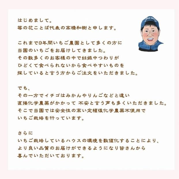 先行予約  いちご 雪国完熟越後姫 約170g×6P 苺 イチゴ フル