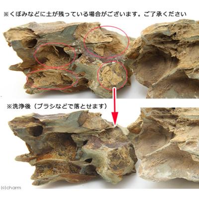 ふるさと納税 邑楽町 陽火石 サイズミックス(約5〜30cm)10kg|09_chm-220101 |  | 02