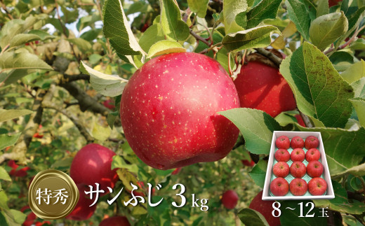 【2026年発送】「特秀」サンふじりんご3kg_H137(R8)-2