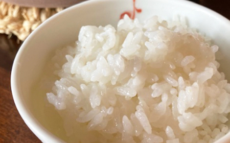 【特A・1等級】北海道産ななつぼし 白米10kg 北海道長沼町産_ 精米 米    ななつぼし 米 _【配送不可地域：離島】【1263659】