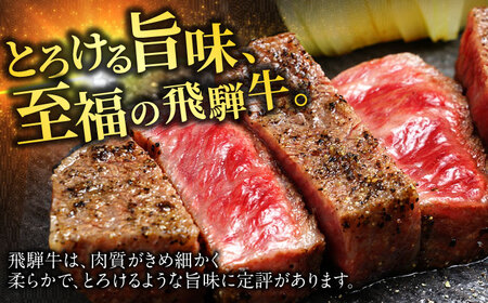 【飛騨牛】サーロイン・ヒレステーキ各2枚 計4枚 和牛 最上級 特別な日 岐阜市/丸福商店[ANBO022]