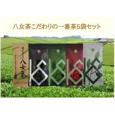 ふるさと納税 八女市 八女茶こだわりの一番茶5本セット