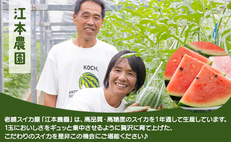 【7月発送】スイカ 小玉 約4kg 糖度13～14前後 2玉【スイカ スイカ スイカ スイカ スイカ スイカ】 em-0032