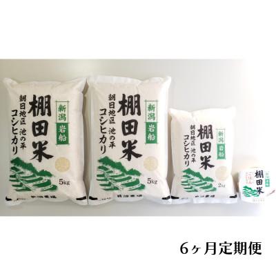 ふるさと納税 村上市 【毎月定期便】棚田米コシヒカリ(精米) 12kg+パックごはん 1個 [121]全6回
