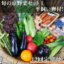 【ふるさと納税】 【12回定期便】＜アスカ有機農園＞旬の京野菜セットL（平飼い卵付）＊毎月お届け全12回≪定期便 定期 野菜 やさい 京都 京野菜 たまご 卵 セット 詰め合わせ 新鮮 ≫無農薬 有機 有機栽培 有機野菜 旬 直送 冷蔵