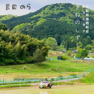 ふるさと納税 能勢町 令和7年産きぬひかり「きねのしずく」10kg(玄米)栽培期間中農薬・化学肥料不使用 |  | 02