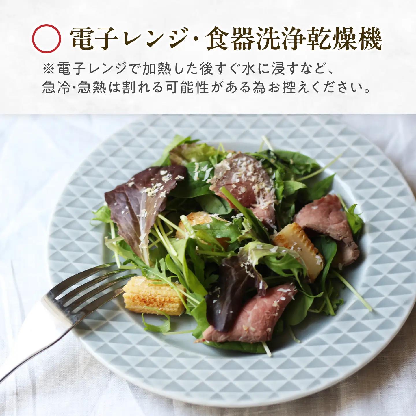【美濃焼】 吉祥 19リム皿 鱗 2枚セット 瑞浪市 / JS企画 小田陶器  陶器 食器 お皿 皿  お皿 リムプレート 丸皿[AZAZ337]