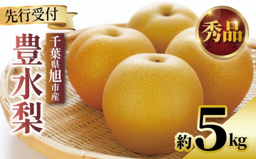 【2026年先行予約】 千葉県産 梨 豊水 約 5kg 7玉～14玉 秀品 豊水梨 なし 和梨 果物 果実 くだもの フルーツ 旬の果物 9月発送 2026 国産 千葉 千葉産 新鮮 鮮度 旬 厳選 贈答 贈り物 ふるさと納税 産地 送料無料 千葉県 旭市 齋藤園 ste003