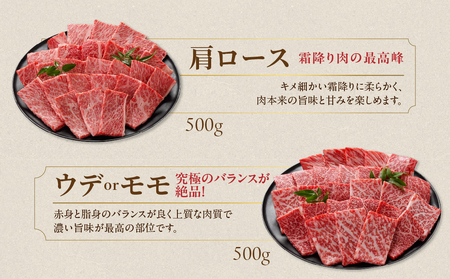 【母の日】宮崎牛焼肉2種セット500g×2パック≪5月8日～11日お届け≫_16-N202-MG_(都城市) 宮崎県産宮崎牛 肩ロース ウデ又はモモスライス 焼肉 (500g×2)1kg ギフト