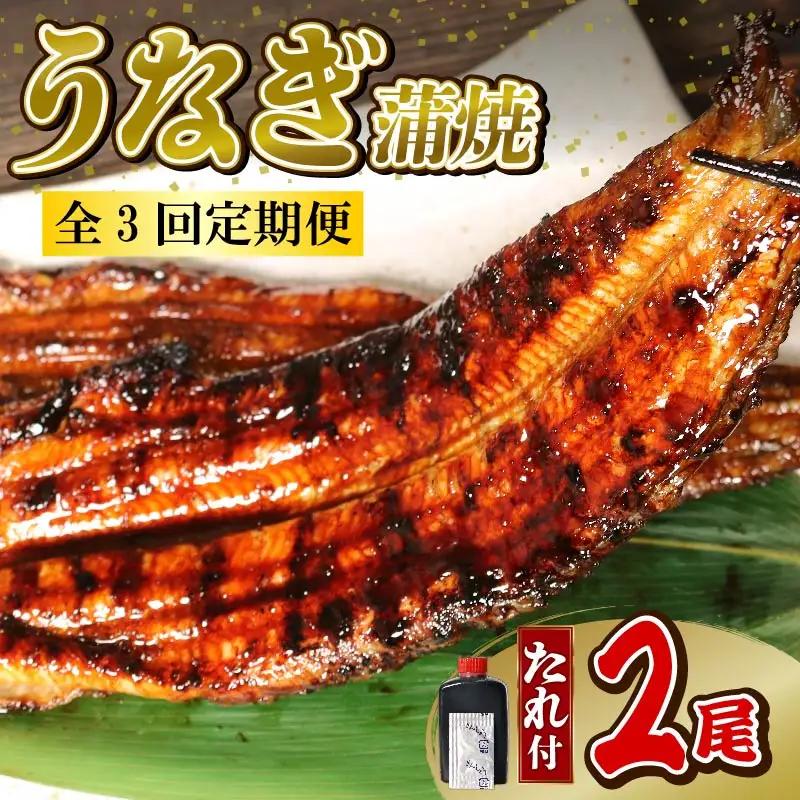 鰻 蒲焼 大姿焼き 2尾 140g×2 【全3回定期便】鰻