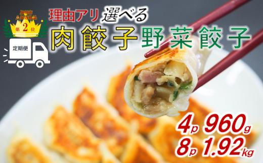 【理由あり(わけあり)】「冠生園」の食べ比べ餃子セット（冷凍　肉・野菜餃子）　108個（18個入×各3パック）