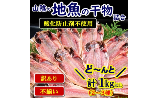 
不揃いにつき訳あり　山陰の地魚の干物詰合せ　2～3種　1kg以上　【1453497】
