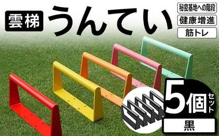 雲梯（うんてい）5個セット ＜黒＞ 雲梯 ウンテイ 健康 健康増進 ダイエット 筋トレ 屋根裏や秘密基地への階段 F21E-266