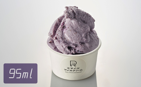 贅沢ジェラートアイス ブルーベリー 6個セット アイス ジェラート ブルーベリー