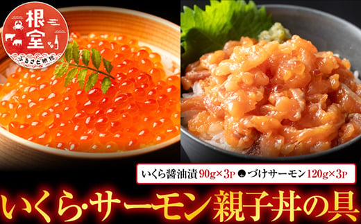 【北海道根室産】＜鮭匠ふじい＞いくら・サーモン親子丼の具