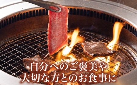 【全3回定期便】長崎和牛 カルビ 毎月400g（200g×2袋）自家製ダレ付 長与町/炭火焼肉あおい】 [EBW019]  国産カルビ 和牛カルビ かるび 焼肉用 焼肉 やきにく 牛肉 牛 肉 国産 