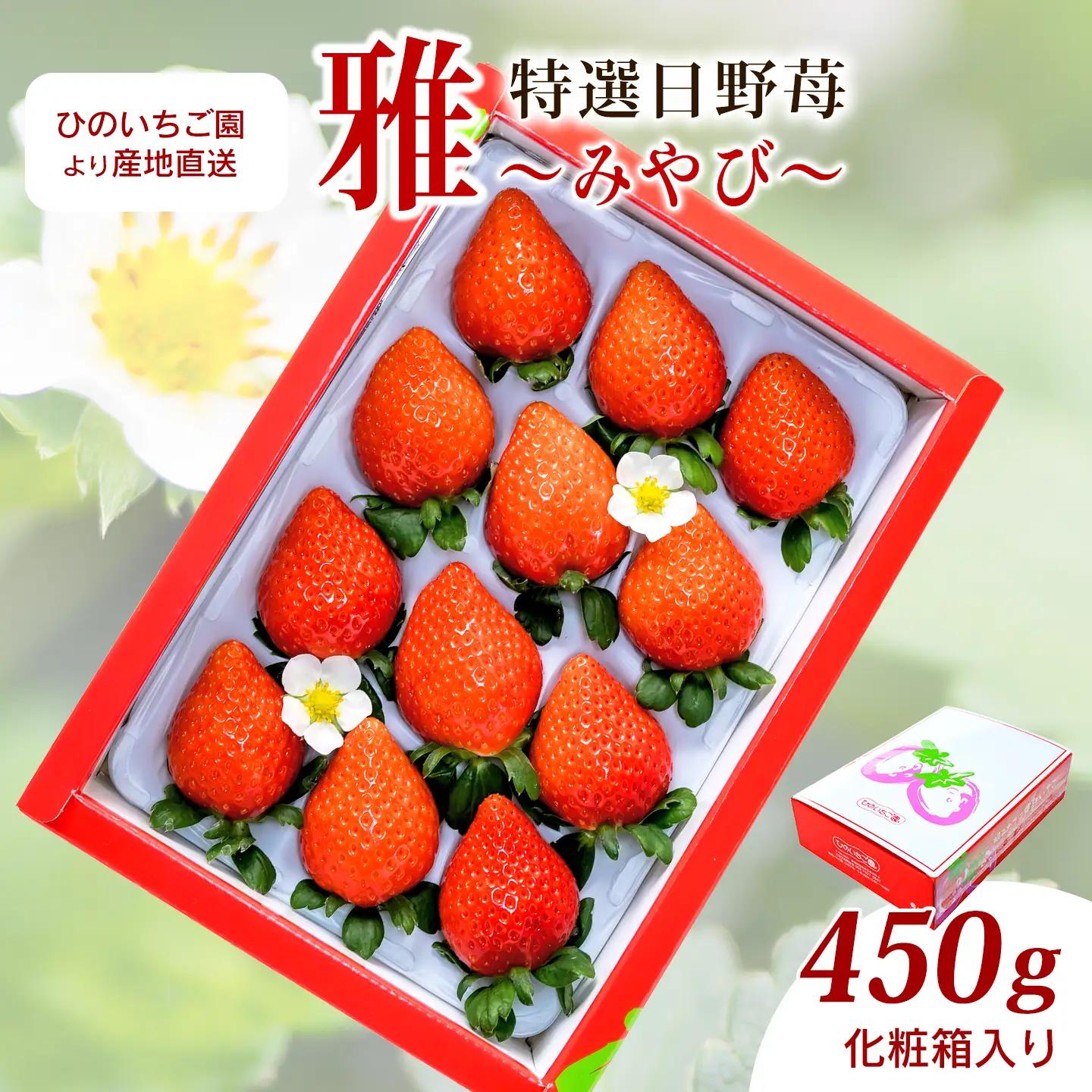 いちご 特選日野苺「雅（みやび）」（約450g）化粧箱　11月下旬~2月発送