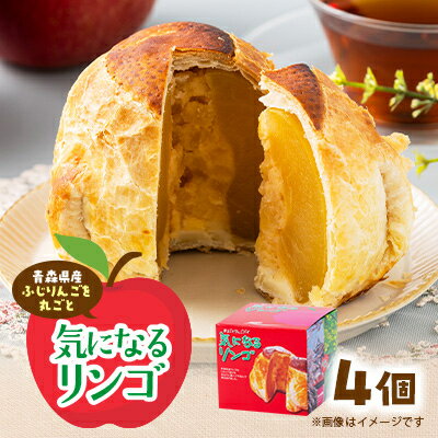 【ふるさと納税】気になるリンゴ 350g×4個入り【1668678】