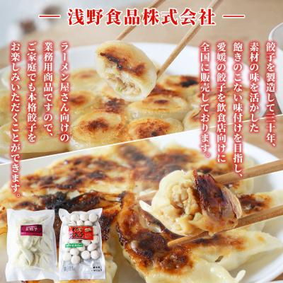 ふるさと納税 西予市 <愛媛のおいしい餃子セット2種セット 合計100個浅野食品> |  | 03
