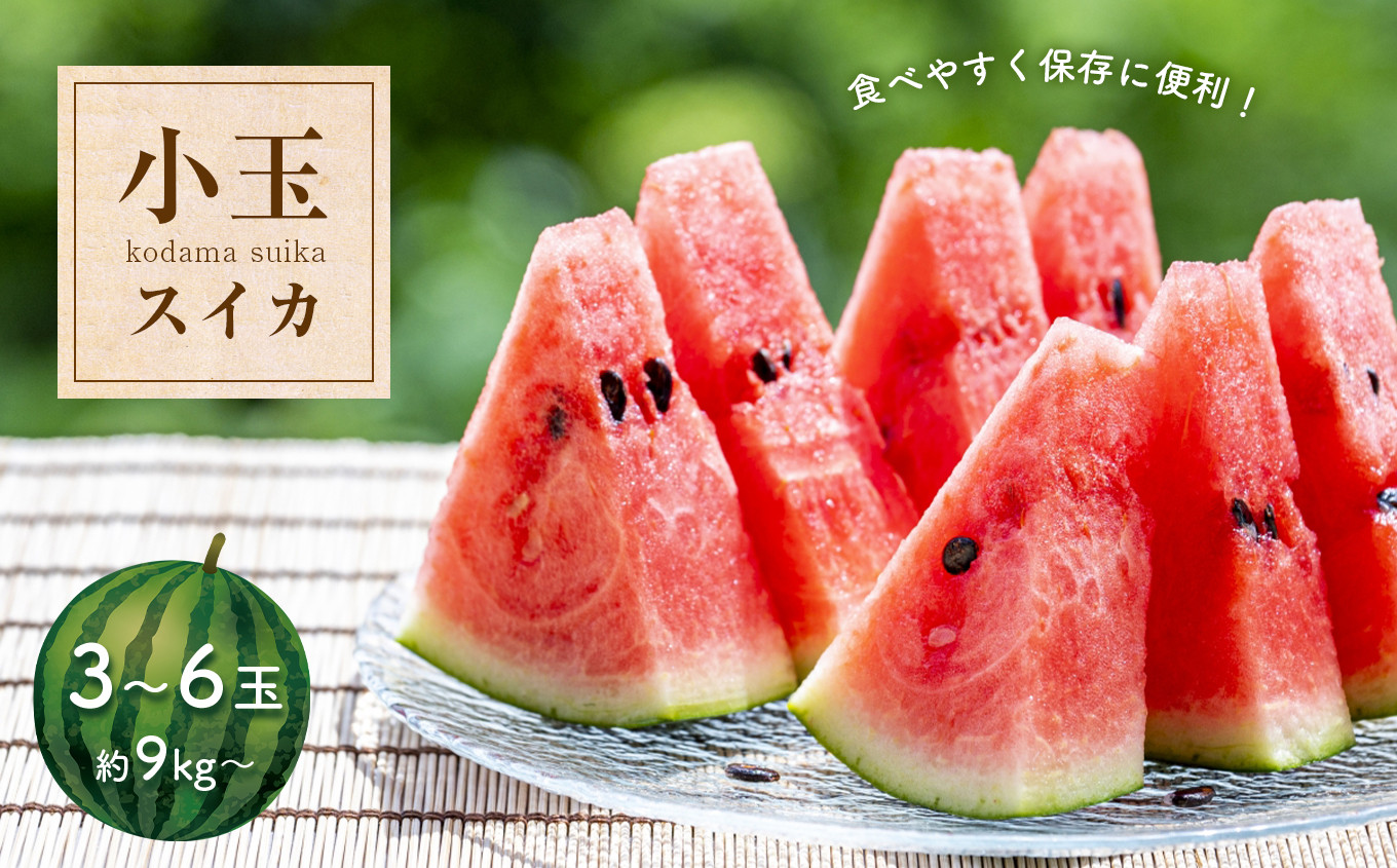 
            小玉 スイカ 3～6玉 『 かめまる食堂 』 | フルーツ 果物 くだもの すいか 西瓜 熊本県 玉名市
          