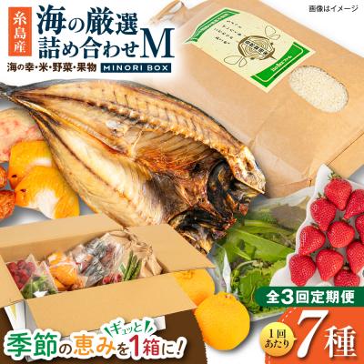 ふるさと納税 糸島市 全3回定期便 糸島産 魚 米 野菜 果物 厳選詰め合わせ MINORI BOX M [AOP024]
