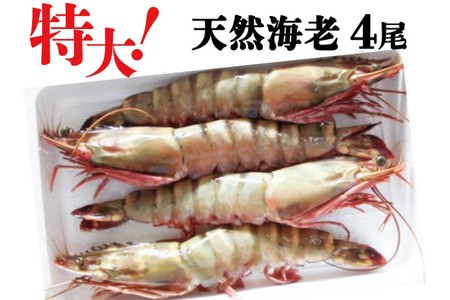 超特大 天然海老 4尾 シータイガー ミャンマー産 BBQ 鉄板焼き えび エビ 天然_BE017