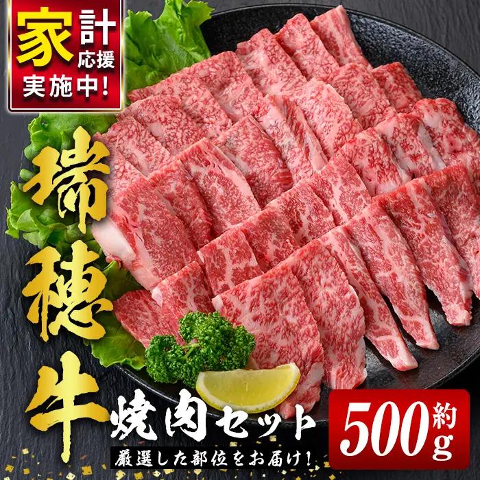 焼肉 セット 約500g 国産 牛肉 【焼肉】 【ho0858】