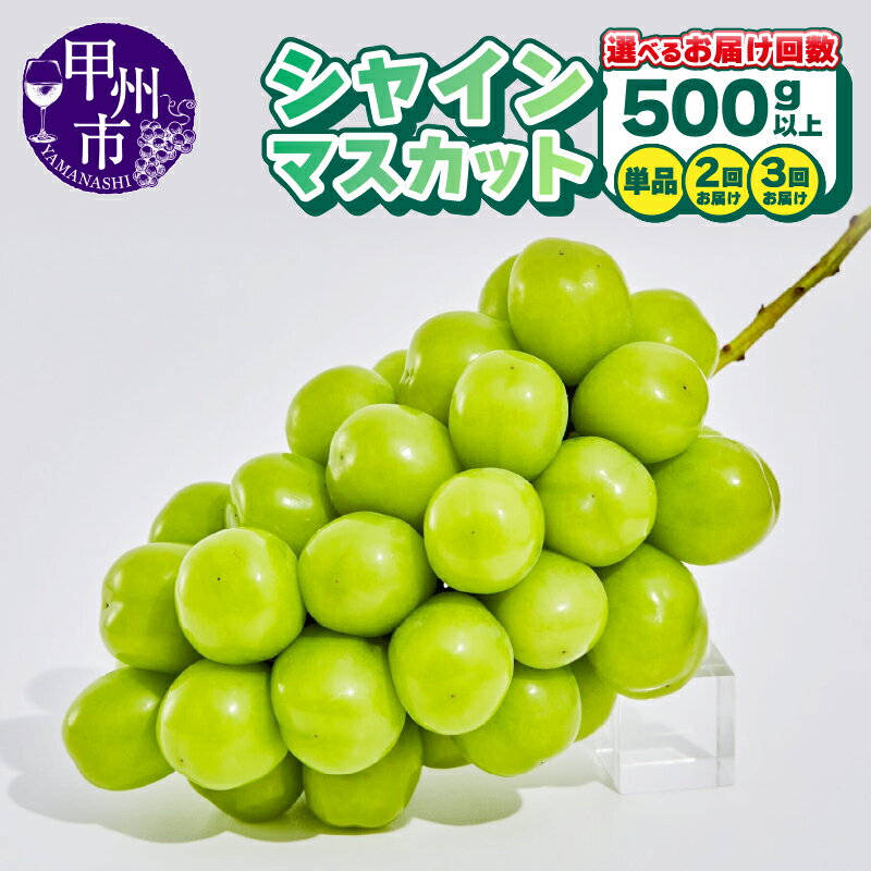 【ふるさと納税】 シャインマスカット 選べる お届け回数 500g 1～3房 定期便 1～3回 果物 期間限定 2025年発送 8月 9月 10月 発送 冷蔵 クール便 山梨県 甲州市 くだもの フルーツ 葡萄 ぶどう 産地直送 甘い 果実 新鮮 人気 社員マスカット （AGB）