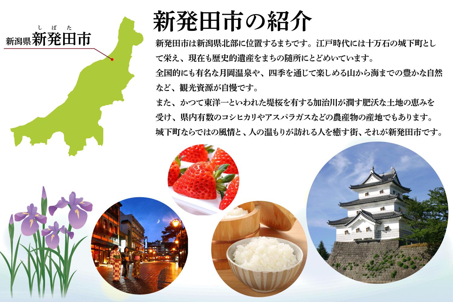 新米 ミルキークイーン 20kg お米 米 白米 こめ しんまい 令和6年産 ご飯 備蓄 贈答 コメ 新潟産 新潟県 新潟米 新潟 新発田 斗伸 toushin017_01