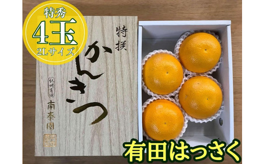 
化粧箱 小箱 手詰め 有田 はっさく 特秀 大玉 2L サイズ × 4玉入 南泰園
