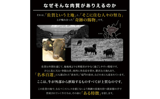 佐賀牛 切り落とし 500g 161-J879