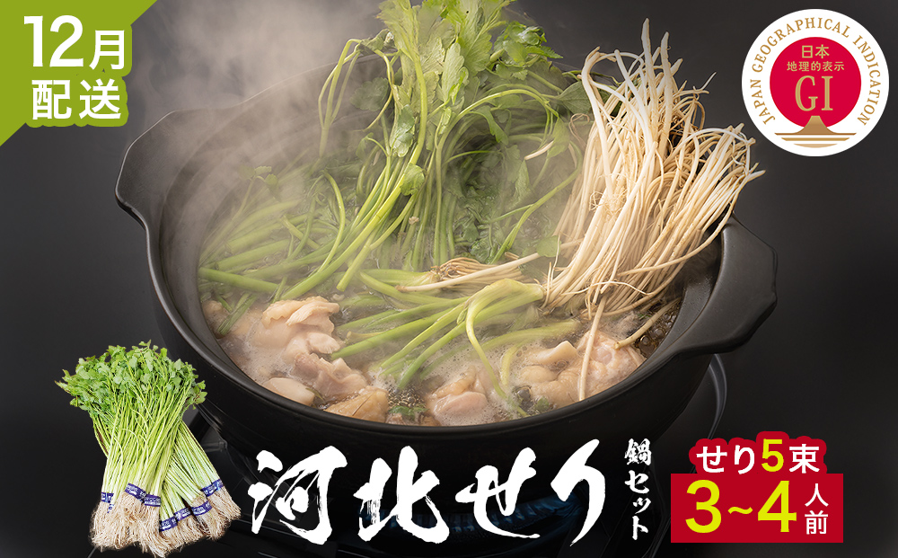 ＜12月配送＞ せり鍋セット せり5束 3-4人前 河北せり 鍋 せ