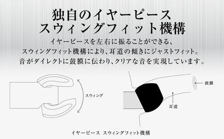 マイク付きハイレゾイヤホン final  E3000C イヤホン