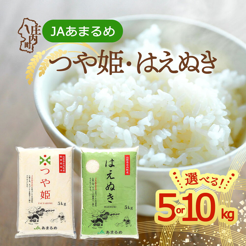 【ふるさと納税】JAあまるめ 特別栽培米 つや姫 はえぬき 5kg 10kg 5kg×2袋 10kg×1袋 選べる品種 内容量 食べ比べ 令和7年産 2025年産 ブランド米 米 山形 庄内平野 山形県 庄内町産 ふるさと納税