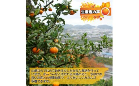 有田みかん約10kg　家庭用　頑固オヤジのこだわりみかん　※2024年11月中旬～2025年1月上旬頃より順次発送予定　【krf004-c-10】