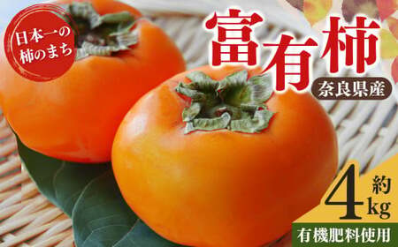 富有柿 約 4kg 12～18玉 | 果物 柿  梨子本農園 