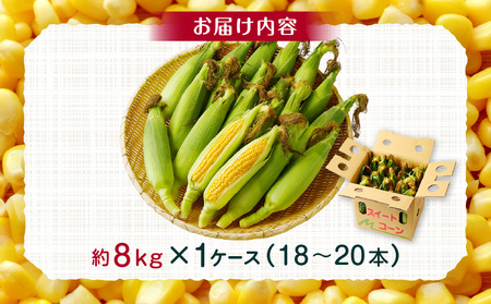 《2025年発送先行予約》宮崎市産朝どれスイートコーン（ゴールドラッシュ）約8kg 野菜 甘い 新鮮