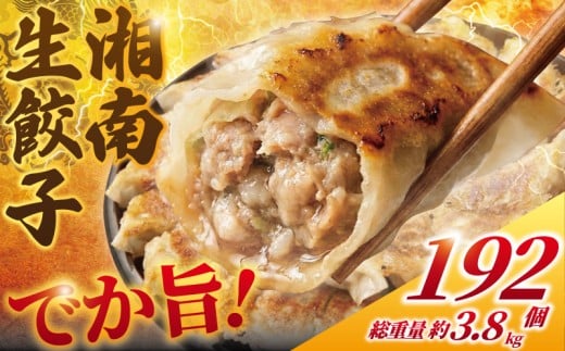 餃子 ぎょうざ 192個 (48個 × 4 パック) 肉汁たっぷり 大きい 国産 ブランド豚 ルイビ豚 小分け 豚肉 野菜 肉 湘南餃子 湘南ぎょうざ 焼き餃子 gyouza ギョーザ 冷凍餃子 生餃子 冷凍 ご飯 おかず 冷凍食品 中華 おつまみ 簡単調理 時短 簡易包装 手作り餃子 サノフーズ 神奈川 湘南 藤沢
