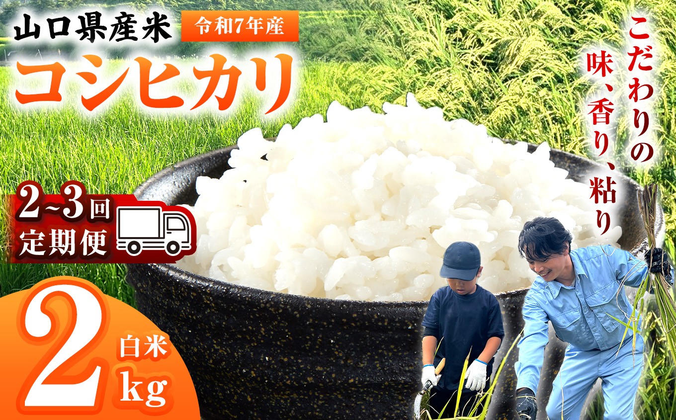 
                  【 定期便 】 令和7年産 山口県産米 コシヒカリ 2kg 選べる 配送回数 2回 3回 ｜ 令和7年産 こしひかり 山口県産米 こめ お米 コメ 白米 精米 ごはん ご飯 瀬戸内 山口県 平生町 2kg
                