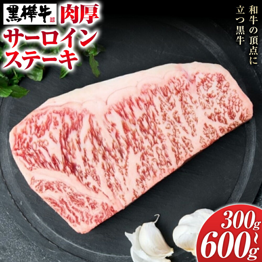 【ふるさと納税】くまもと黒毛和牛 黒樺牛 A4〜A5等級 肉厚サーロインステーキ 選べる 内容量 300g 600g 株式会社杉本本店 《90日以内に出荷(土日祝除く)》熊本県 菊池市 特大 牛肉 牛 肉厚 お肉 ステーキ 黒毛和牛 国産 九州産 熊本県産 冷凍 送料無料