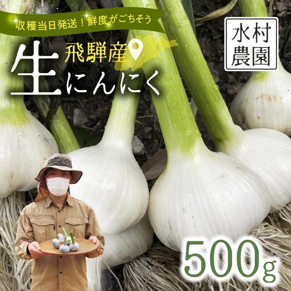 生にんにく 500g 飛騨 にんにく 水村農園 