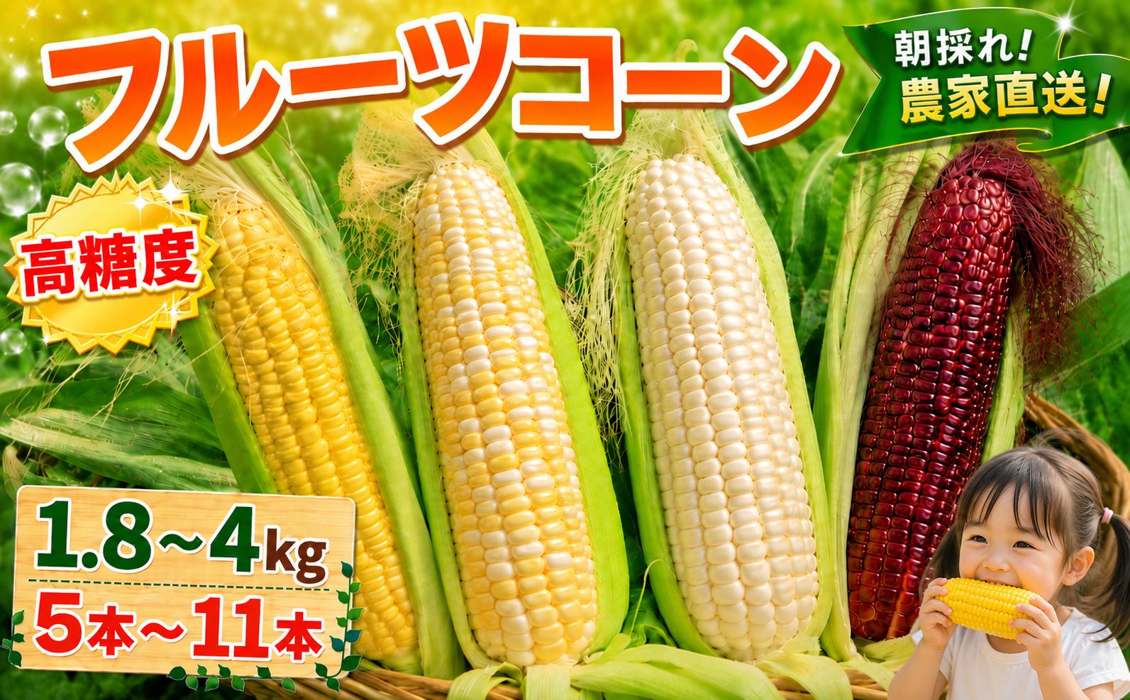 
                  【先行予約】 フルーツコーン 5本 ～11本（1.8～4kg） | とうもろこし 食べ比べ ゴールドラッシュ バイカラー ホワイト レッド 希少 厳選 高級 コーン スイートコーン  新鮮 朝採れ 期間限定 数量限定 産地直送 農家直送 人気 高糖度 高知県 南国市
                